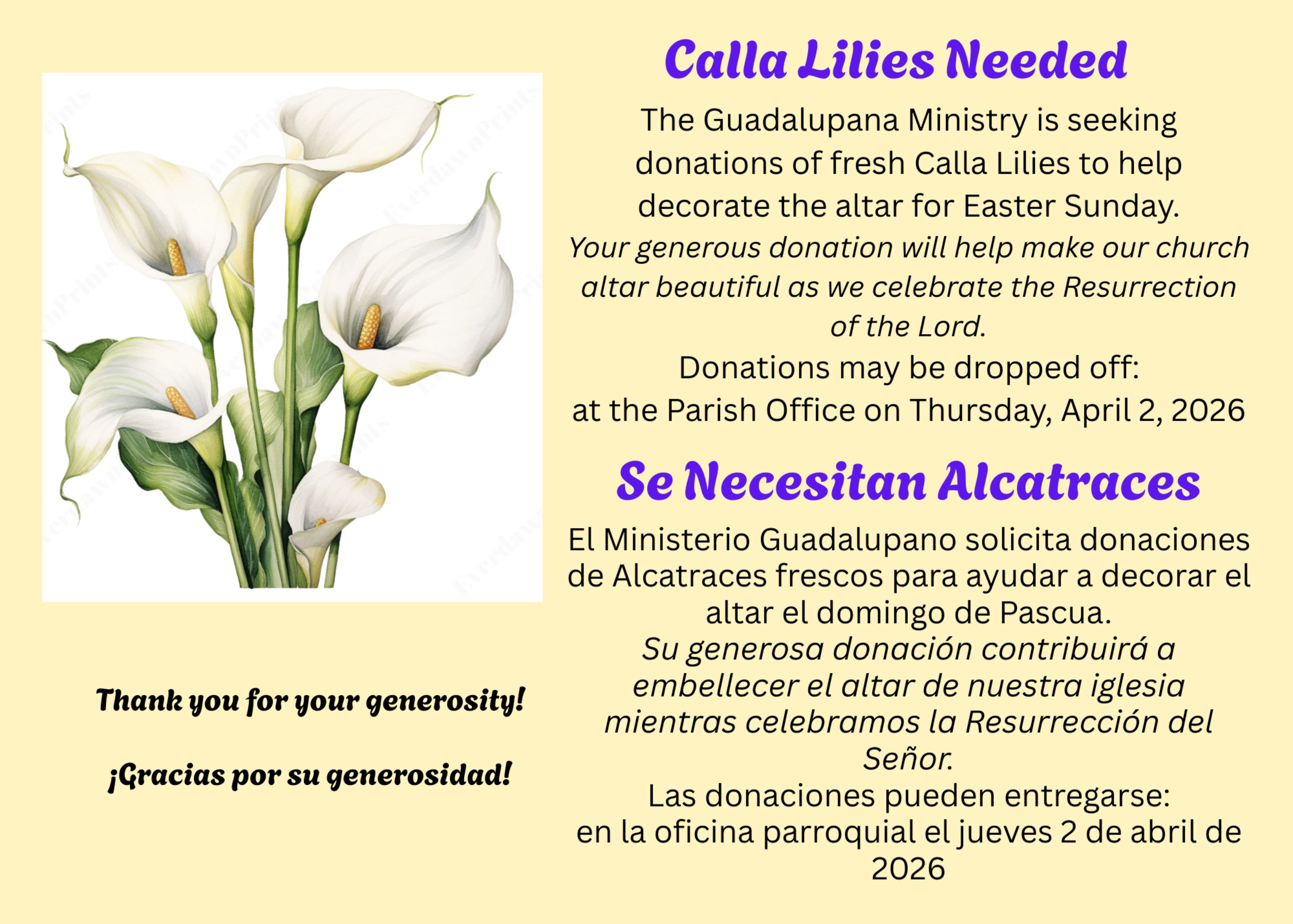 Calla Lillies Needed 2026