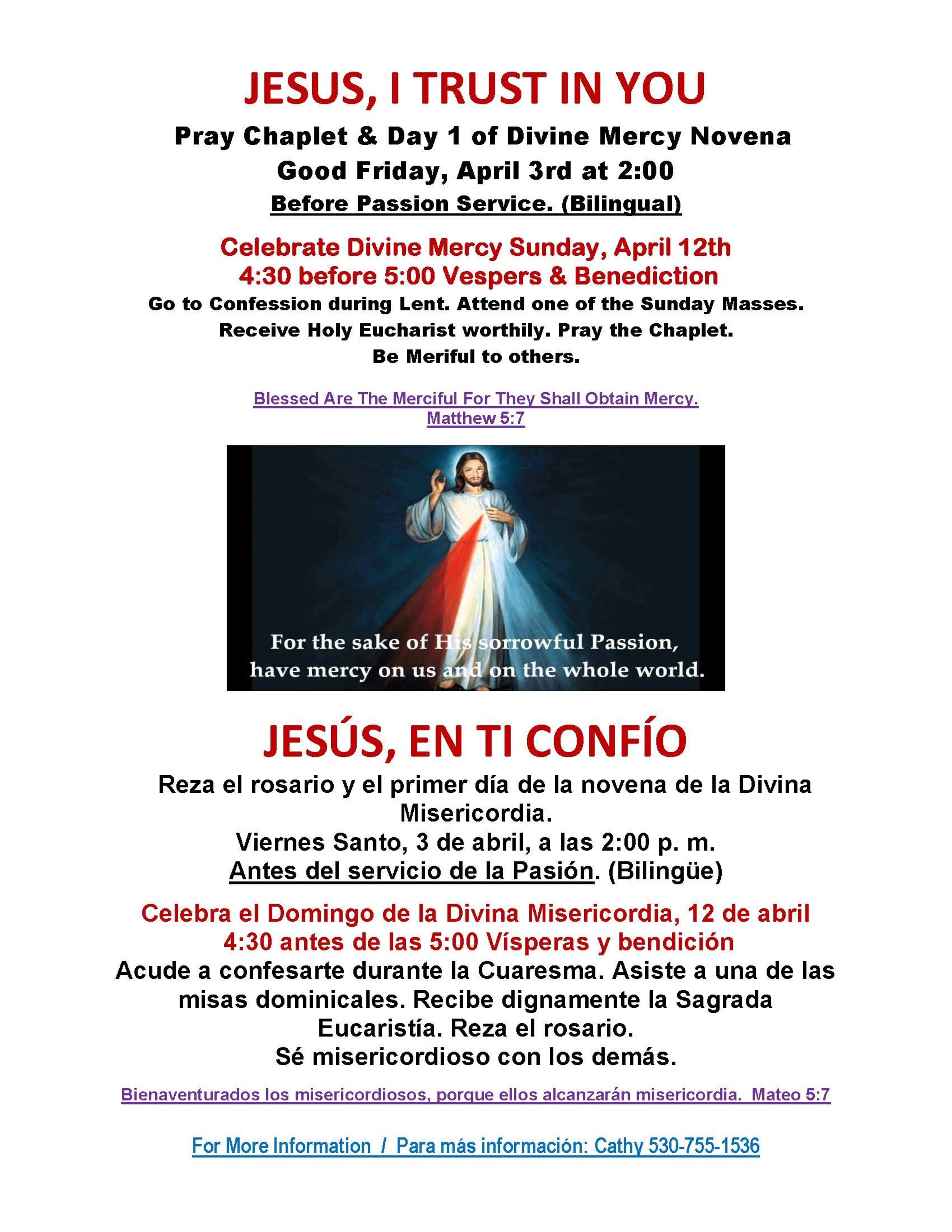 Divine Mercy Englishposter For Bulletin