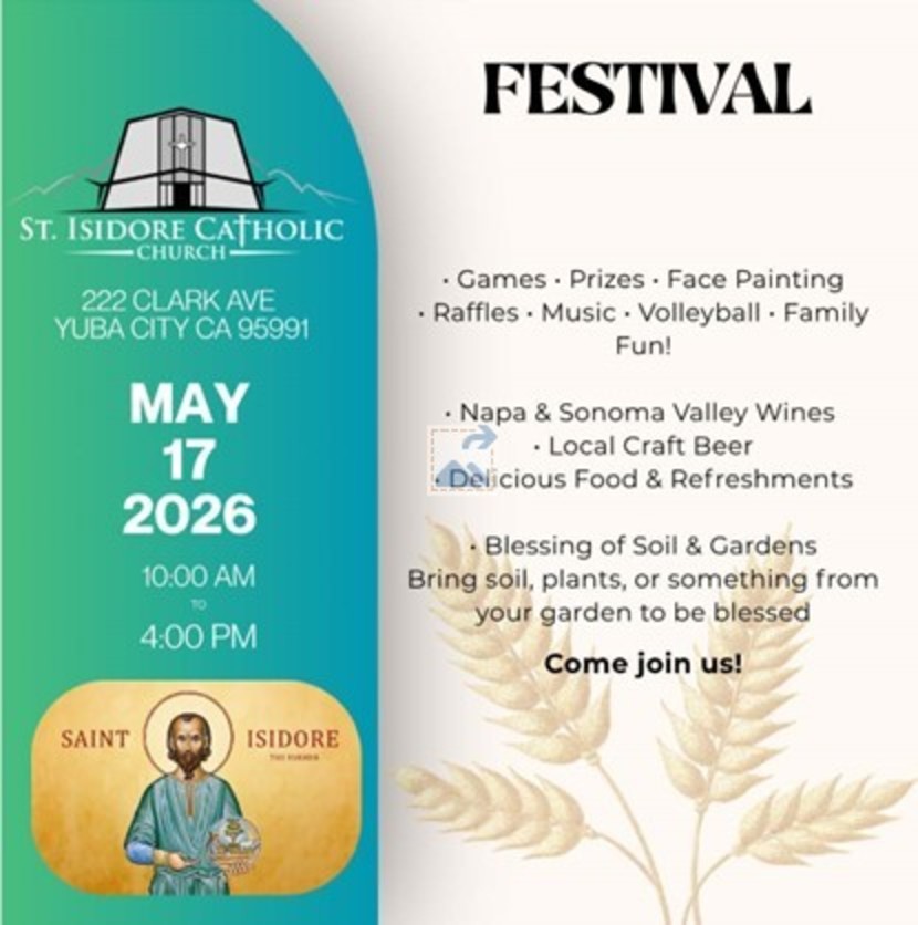 Festival English 2026