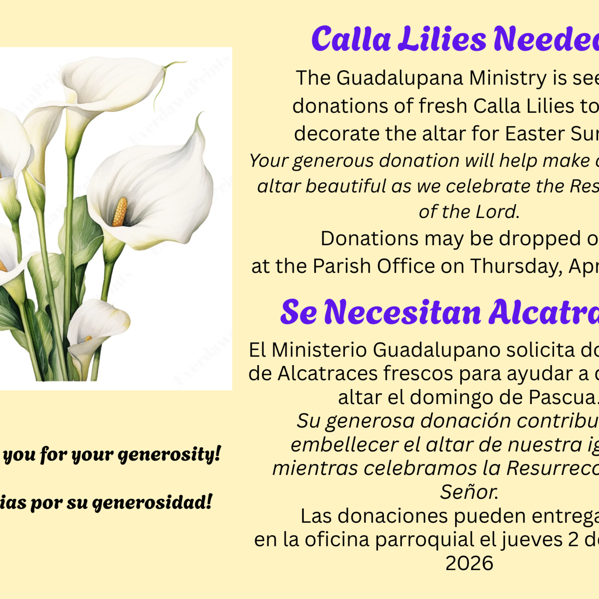 Calla Lillies Needed 2026