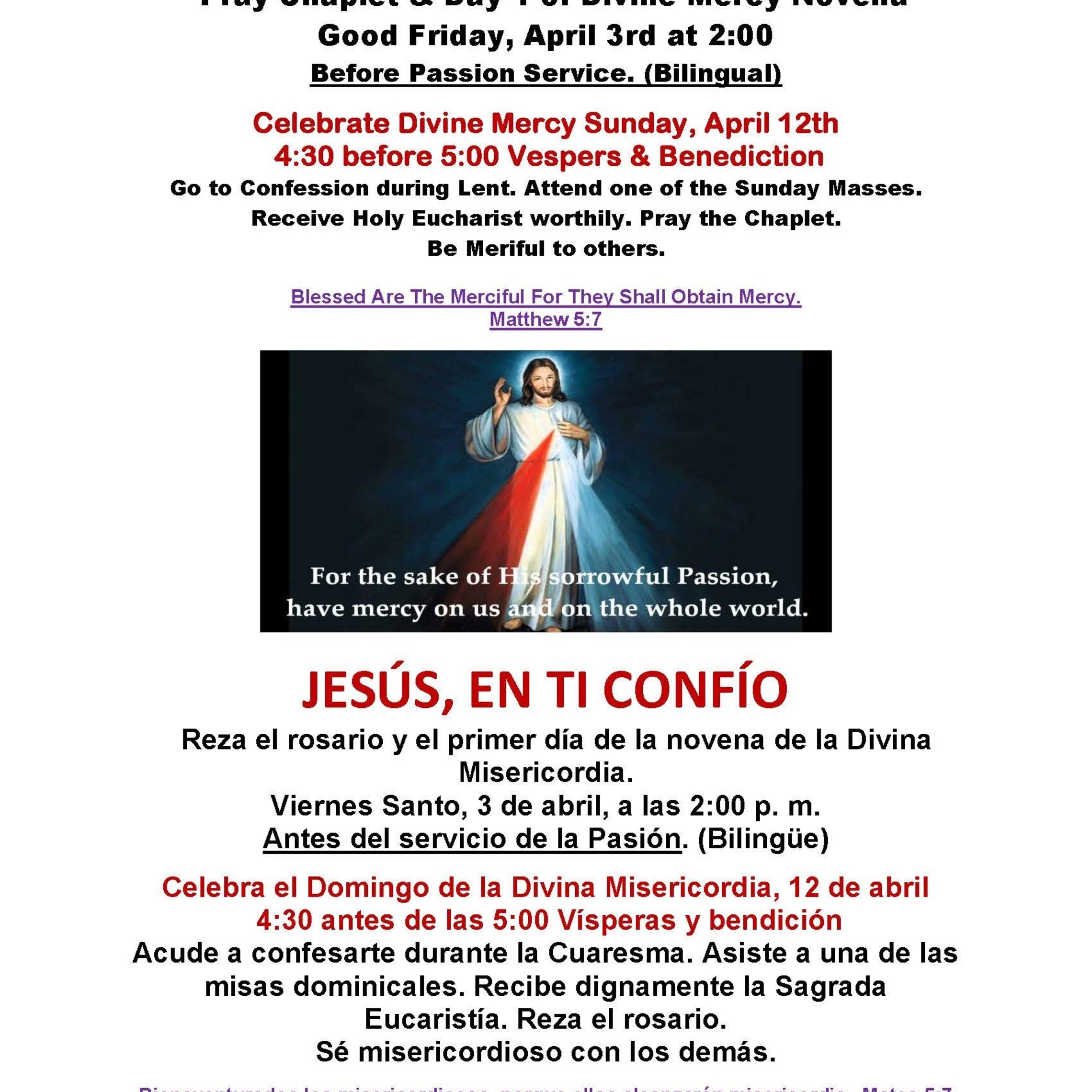 Divine Mercy Englishposter For Bulletin