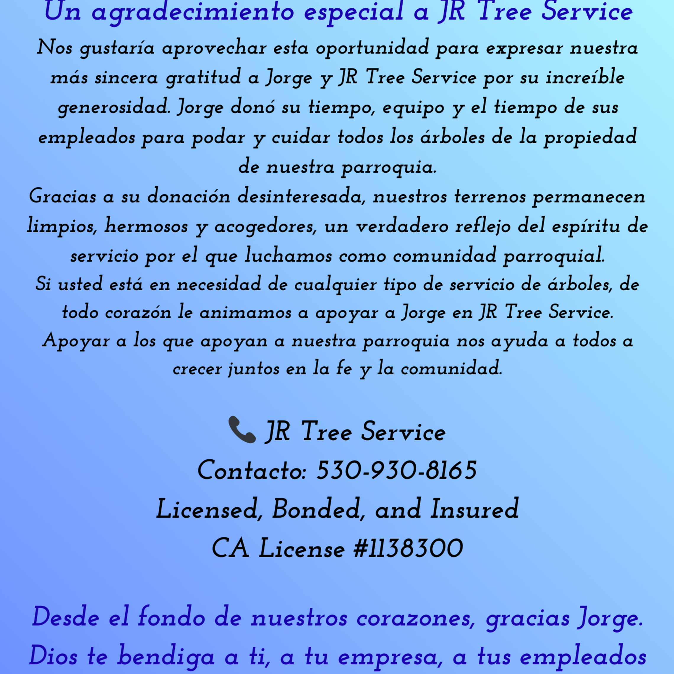 Jr Tree Service Spanish